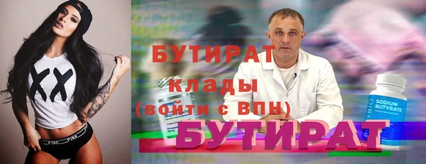 твердый Новозыбков