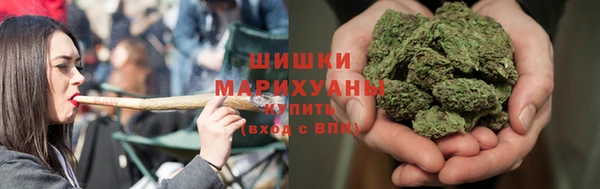 гидра Няндома