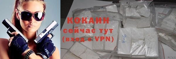 твердый Новозыбков
