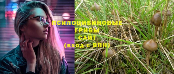 apvp Новокубанск