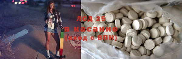 гидра Няндома