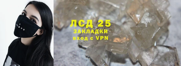 твердый Новозыбков