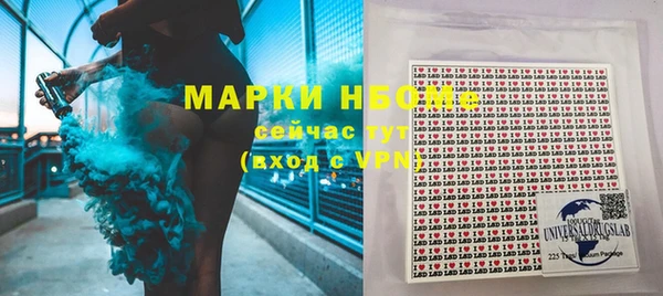 гидра Няндома
