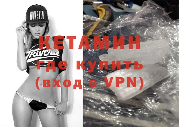 гидра Няндома