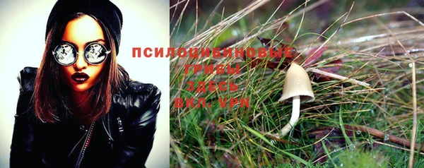 PSILOCYBIN Нязепетровск
