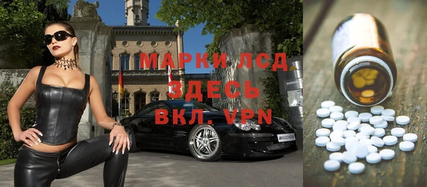гидра Няндома