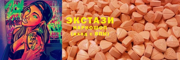 гидра Няндома