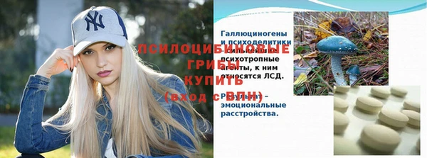 гидра Няндома