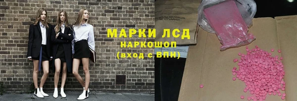 гидра Няндома