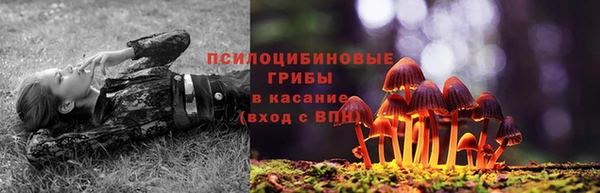 меф Новодвинск