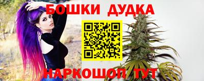 дживик Кандалакша
