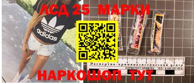 дживик Кандалакша