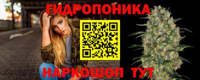 дживик Кандалакша