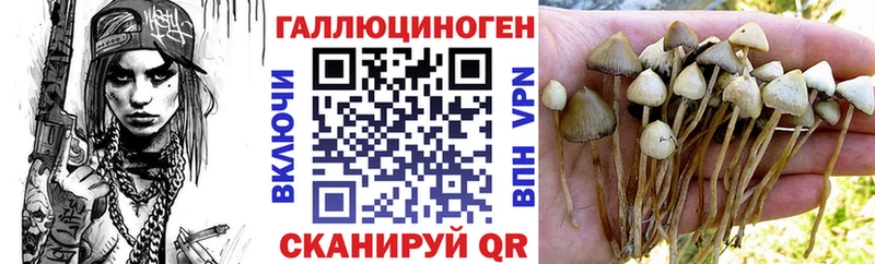 Псилоцибиновые грибы Psilocybine cubensis  наркота  Майкоп 