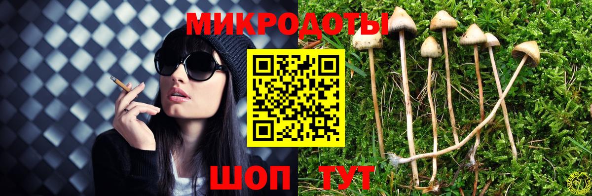 Галлюциногенные грибы мухоморы Майкоп